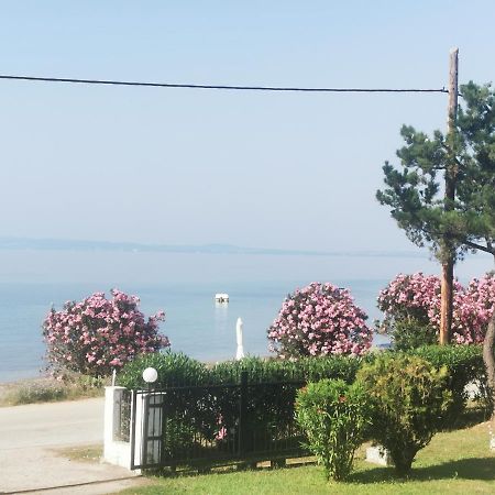 Metamorphosis - Halkidiki Apartment On The Beach Metamorfosi (Sithonia) Exterior foto