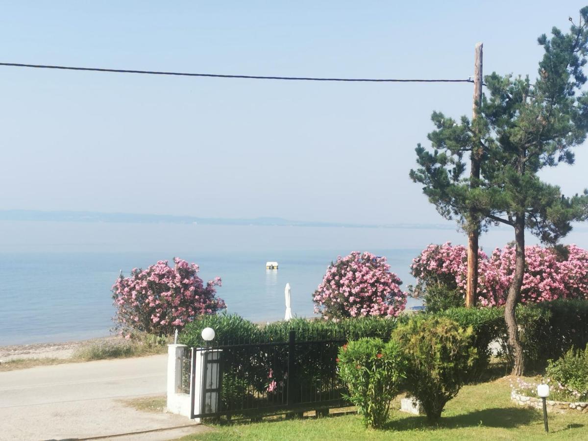 Metamorphosis - Halkidiki Apartment On The Beach Metamorfosi (Sithonia) Exterior foto