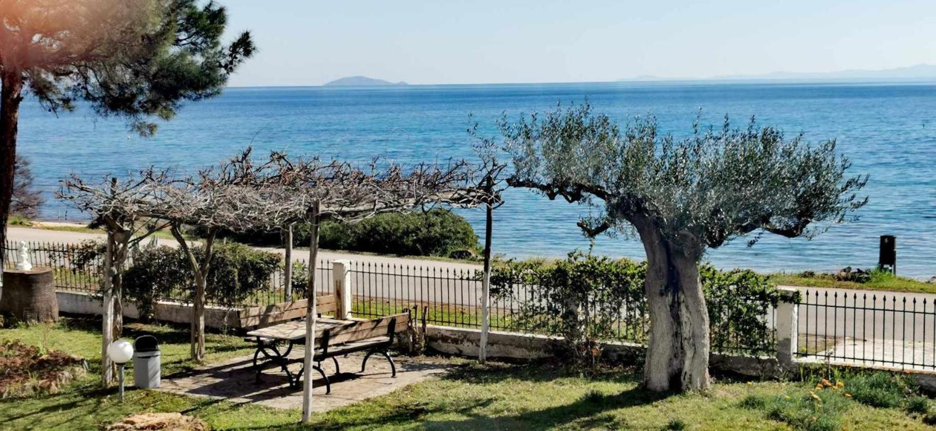 Metamorphosis - Halkidiki Apartment On The Beach Metamorfosi (Sithonia) Exterior foto