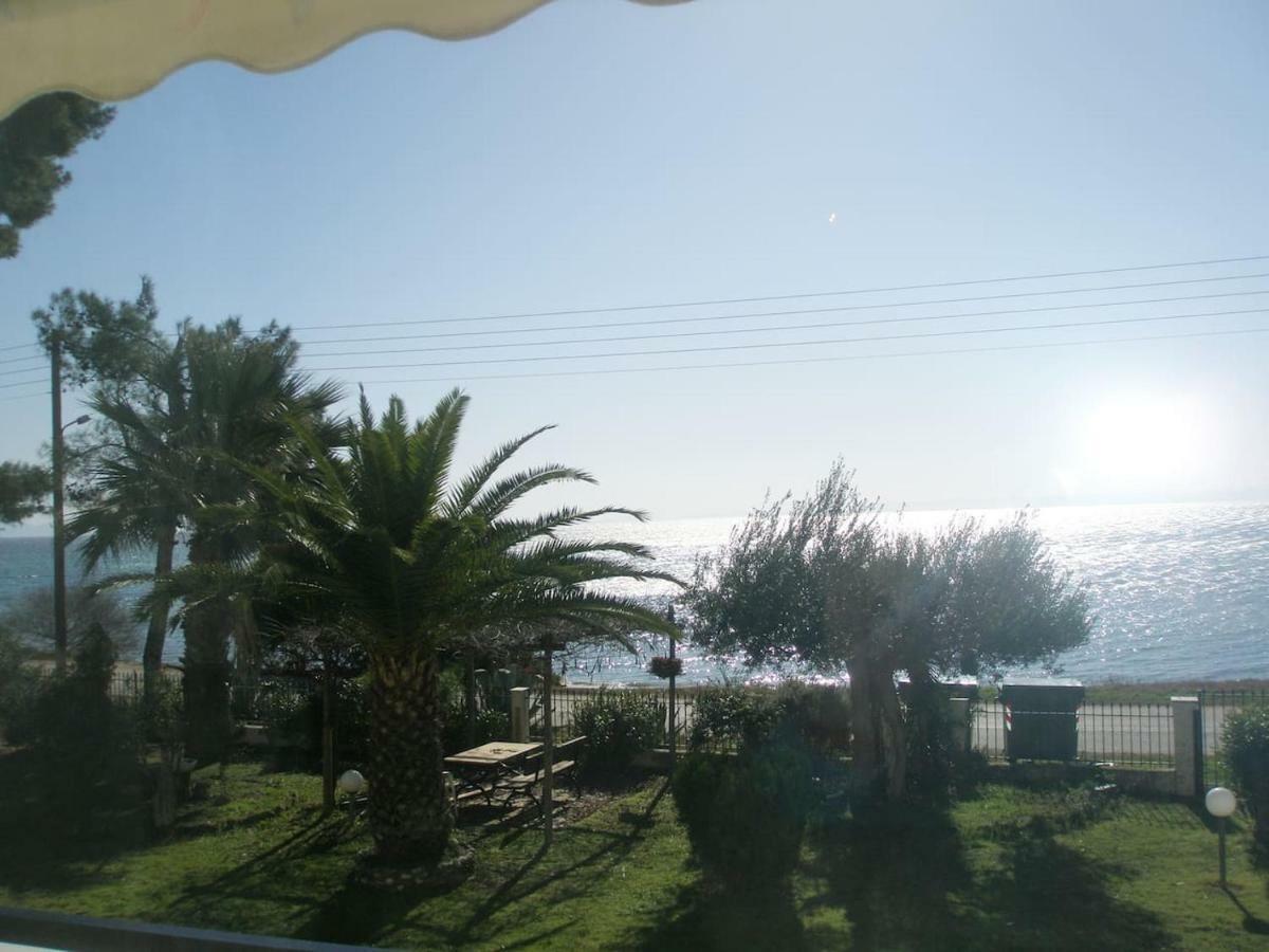 Metamorphosis - Halkidiki Apartment On The Beach Metamorfosi (Sithonia) Exterior foto