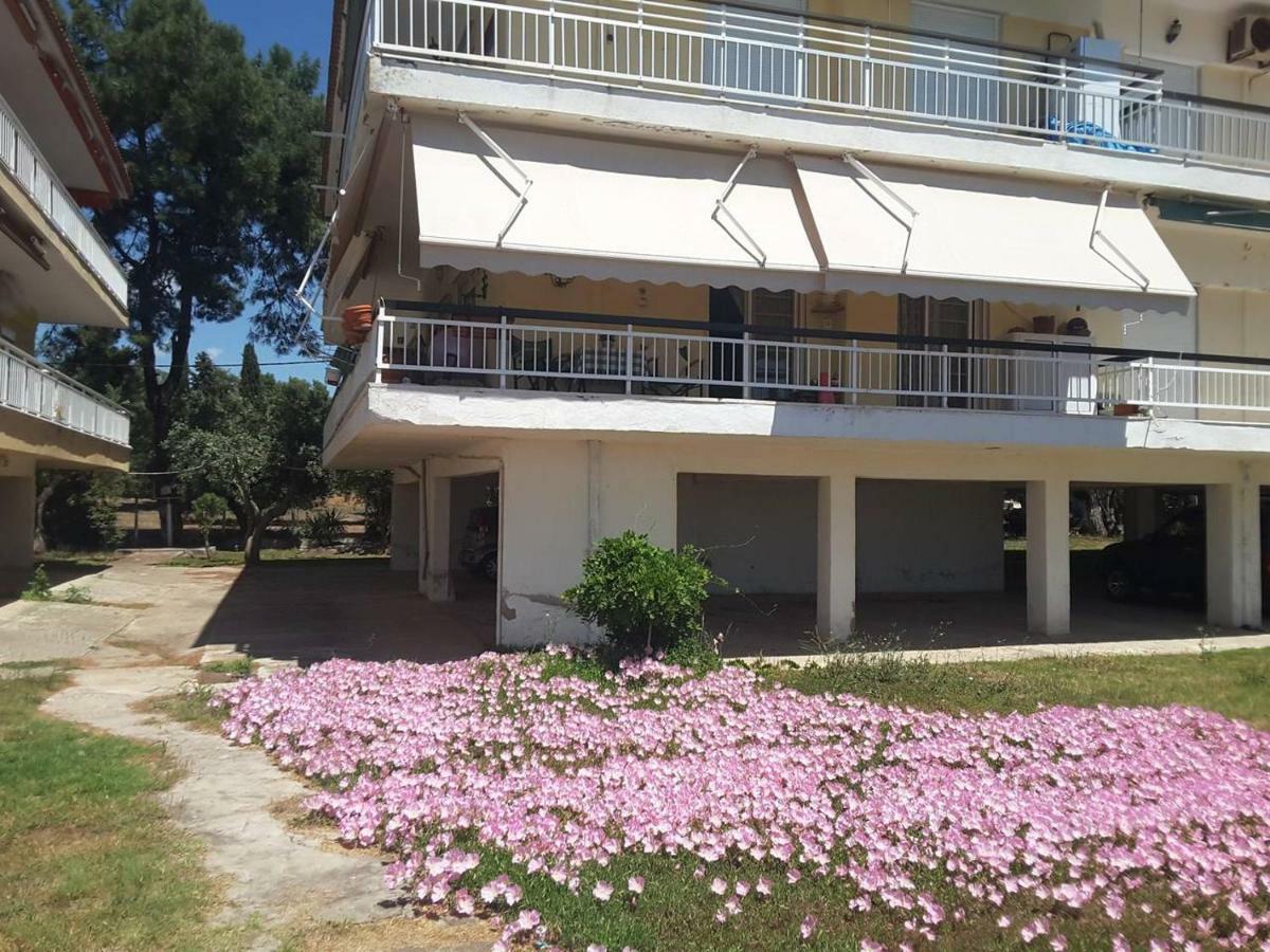 Metamorphosis - Halkidiki Apartment On The Beach Metamorfosi (Sithonia) Exterior foto