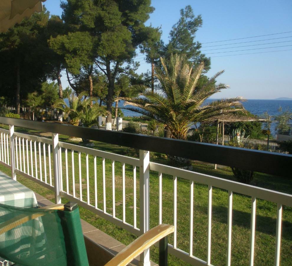 Metamorphosis - Halkidiki Apartment On The Beach Metamorfosi (Sithonia) Exterior foto